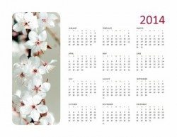 Microsoft Calendars